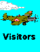 Visitors Icon
